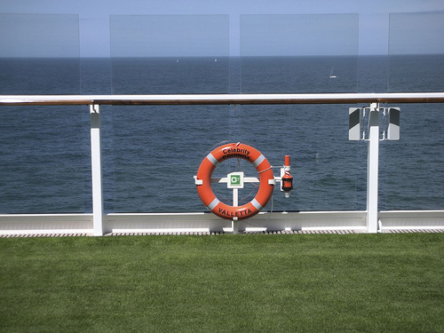 sea life ring